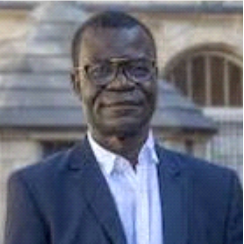Prof. Dr. Emmanuel Jovelin